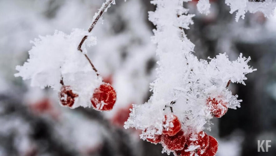 Градоначальник предложил чиновникам совершать вечерние и ночные объезды дорог и проверять качество уборки.