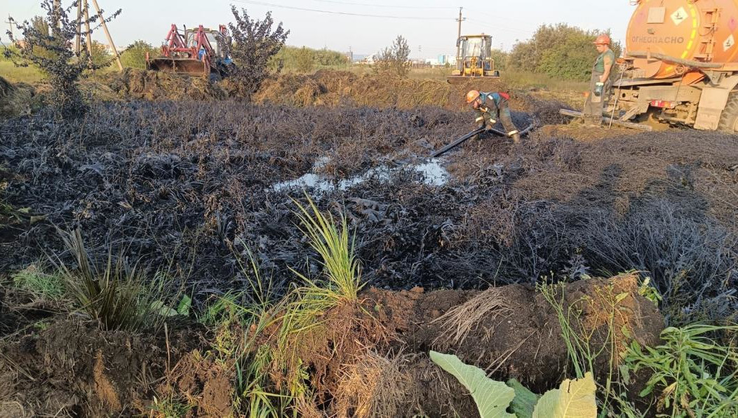 Специалисты отобрали пробы фоновой и загрязненной почвы.