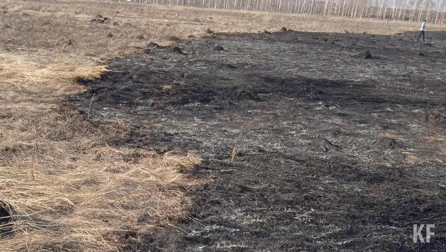 Причиной мог стать поджог.