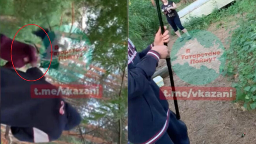 Юноши смогли запечатлеть это на видео.