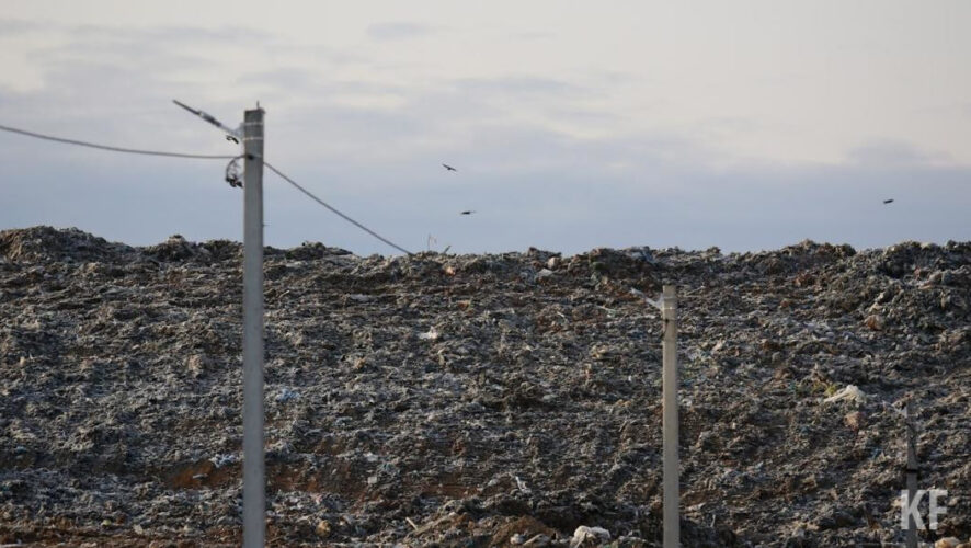 За год выявлено 4