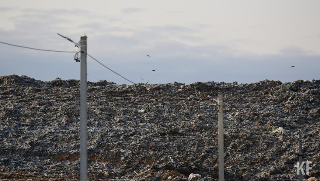 За год выявлено 4