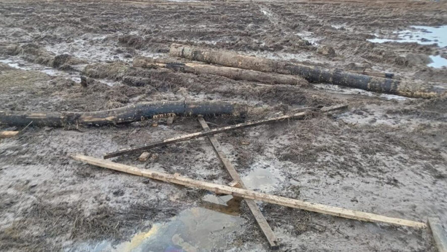 Ущерб нанесен в ходе разлива нефтепродуктов в Ютазинском районе Татарстана.