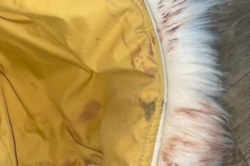 Горожане просят Рамиля Муллина разобраться в ситуации.