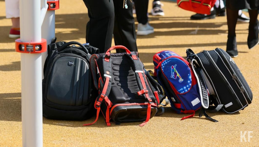 Экспертиза показала