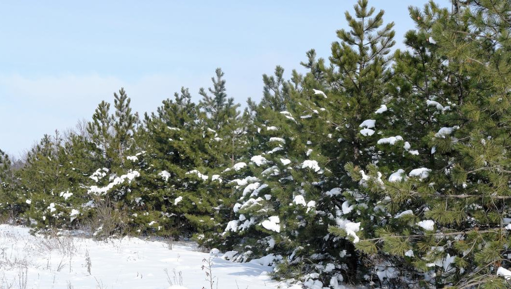 Это делается для того