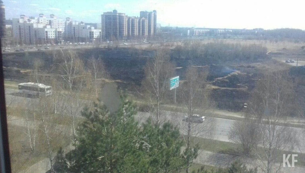 Горожане в соцсетях делятся фото и видео полыхающих полей.