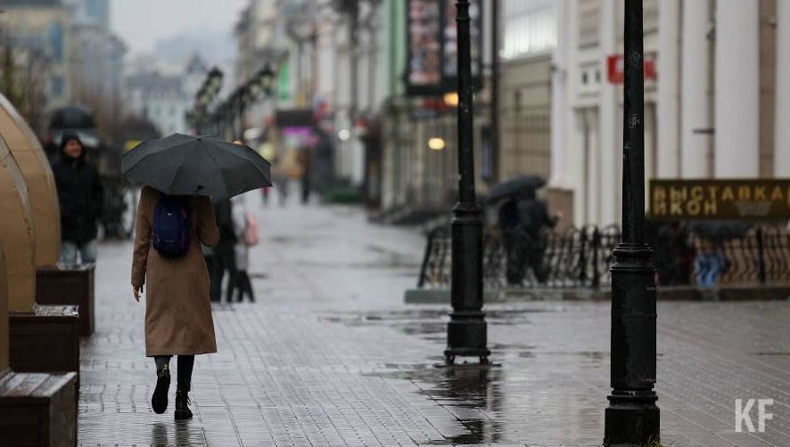 Также в некоторых районах республики ожидается сильный дождь.