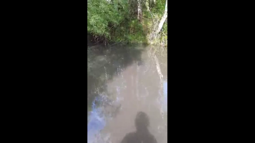 Будут проводиться анализы воды в&nbsp;протоке Подувалье и уже по результатам приниматься соответствующие решения.