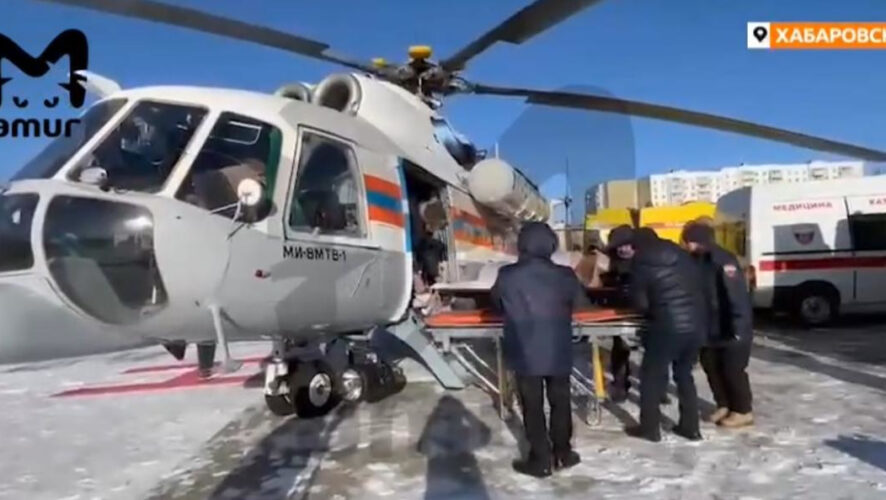 Пять человек в тяжёлом состоянии.