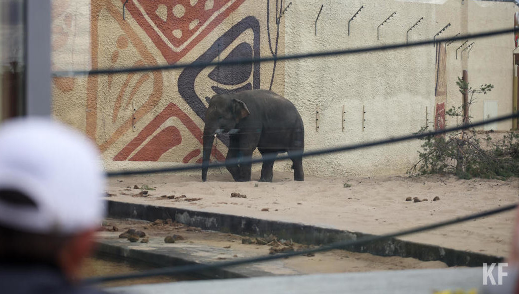 Милыми кадрами поделились в соцсетях.