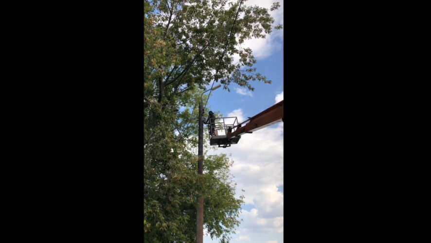 Большая часть из них уже функционирует.