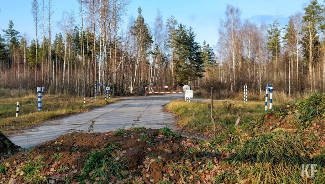 Система также может выявить места усыхания деревьев.