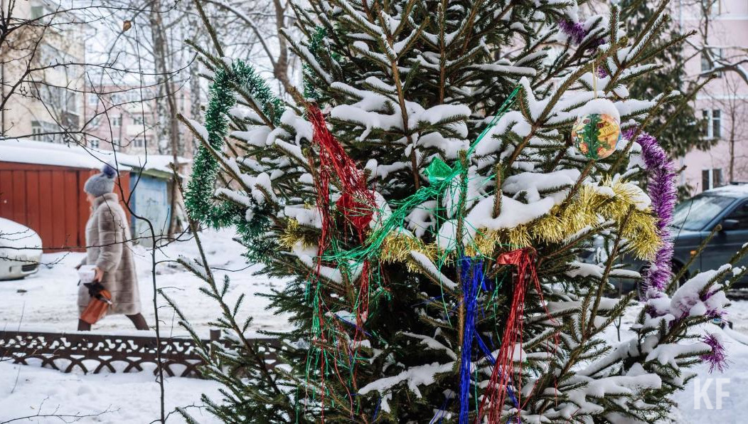 По факту случившегося возбуждено уголовное дело по статье «Мошенничество».