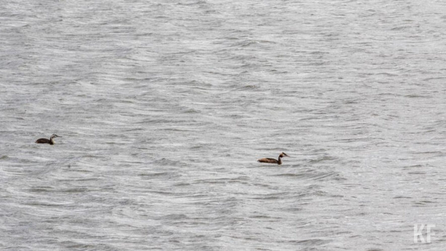 Длиться он будет до&nbsp;25 апреля.