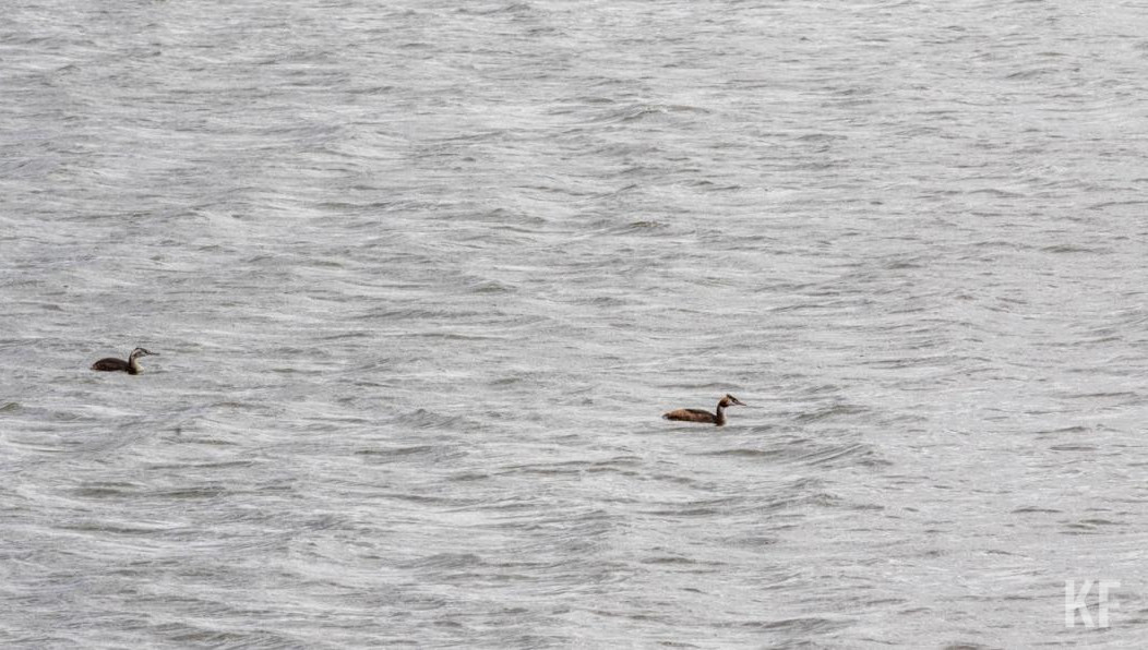 Длиться он будет до 25 апреля.