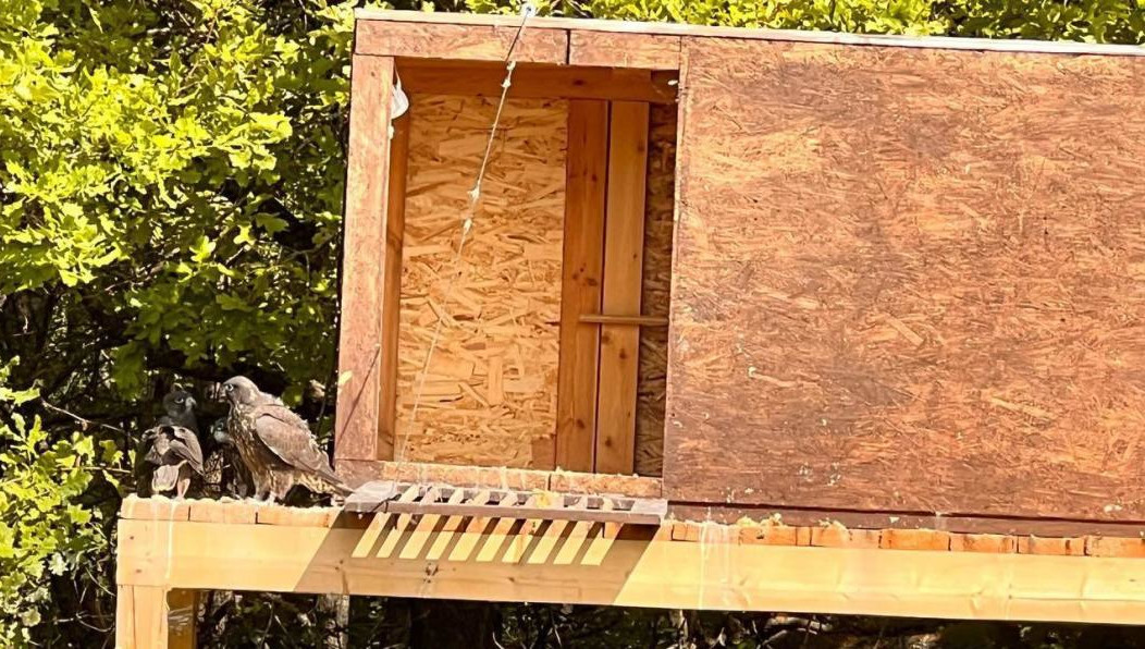 В этом году за победу поборются заявки из 11 стран мира.