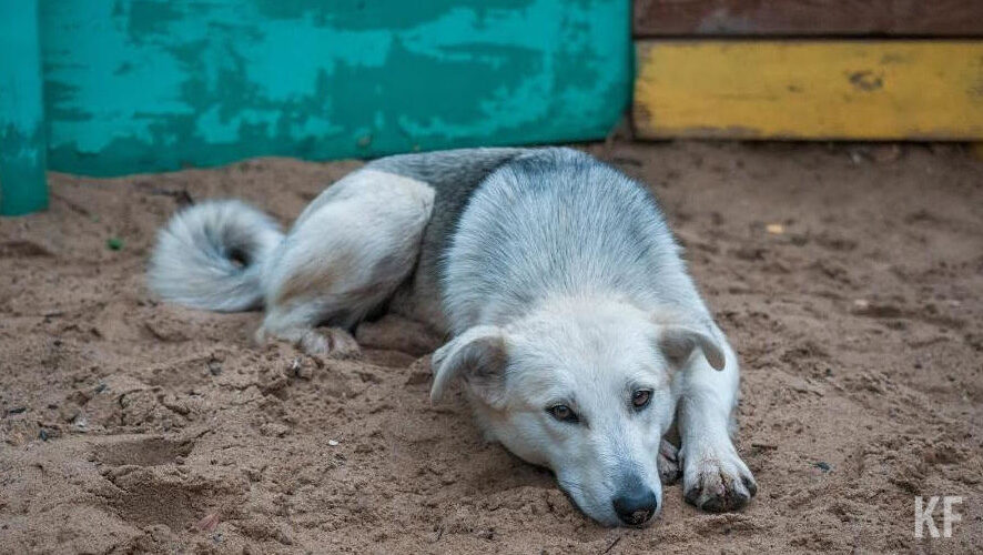 Сенатор&nbsp;Александр Башкин отметил