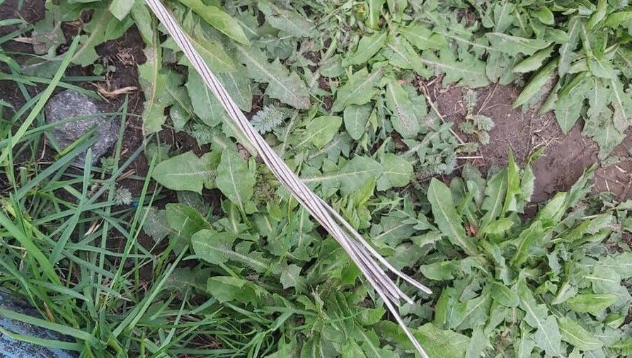 Ребёнок случайно дотронулся до оголенного провода линии электропередачи.