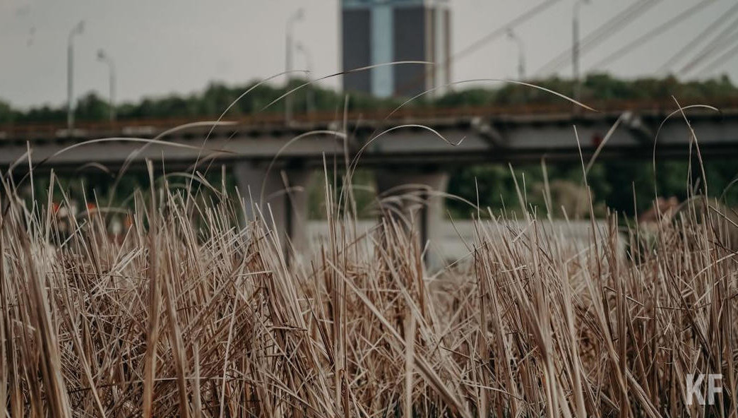 Из-за повышения уровня пожарной опасности в весенне-летний период запрещается использовать открытый огонь в мангалах