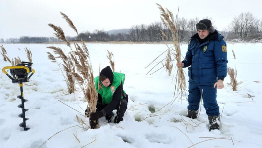 Акция прошла&nbsp;в природном заказнике &laquo;Чистые луга&raquo;.