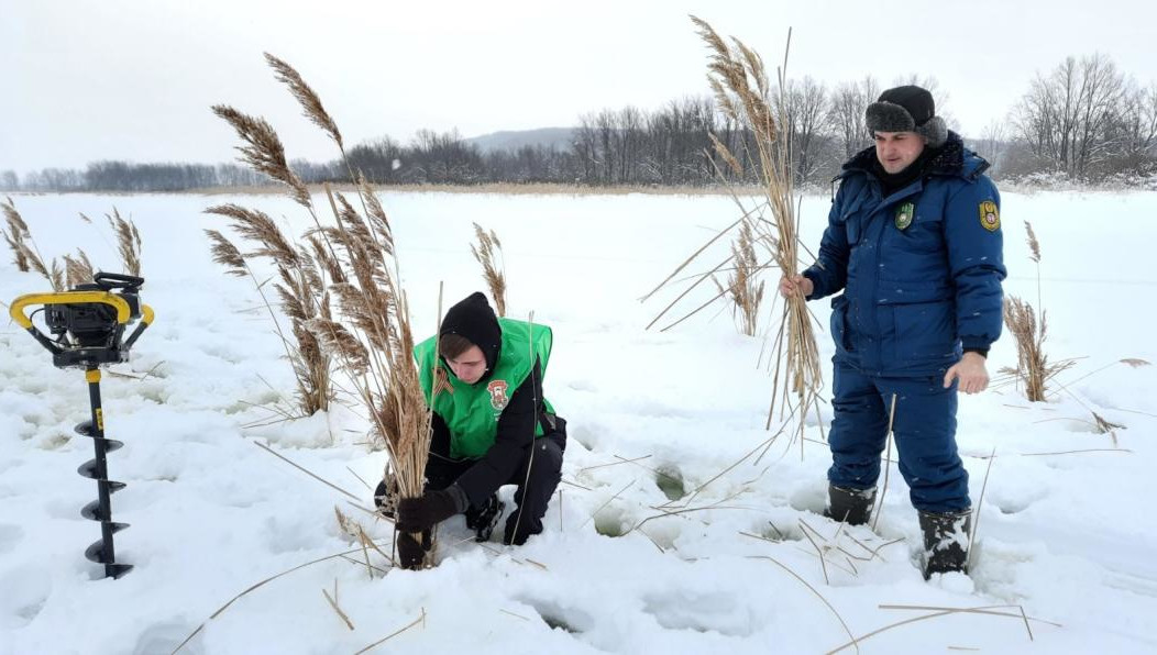 Акция прошла в природном заказнике «Чистые луга».