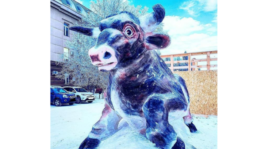 На создание бычка ушло 35 КАМАЗов снега.
