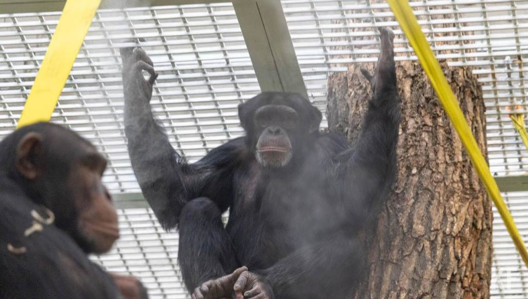 Летальные исходы регистрируют каждый год.