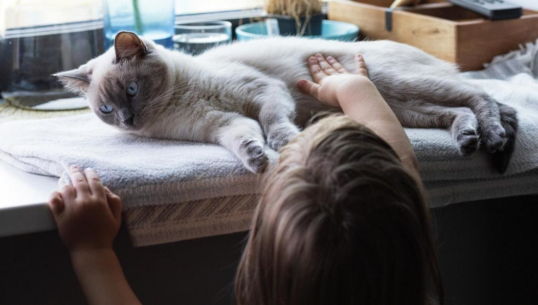 Плохим вариантом для животного будет хозяин