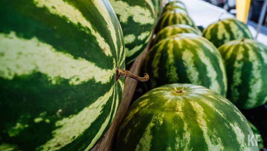 Вещество используют как компонент тормозных жидкостей и антифризов.