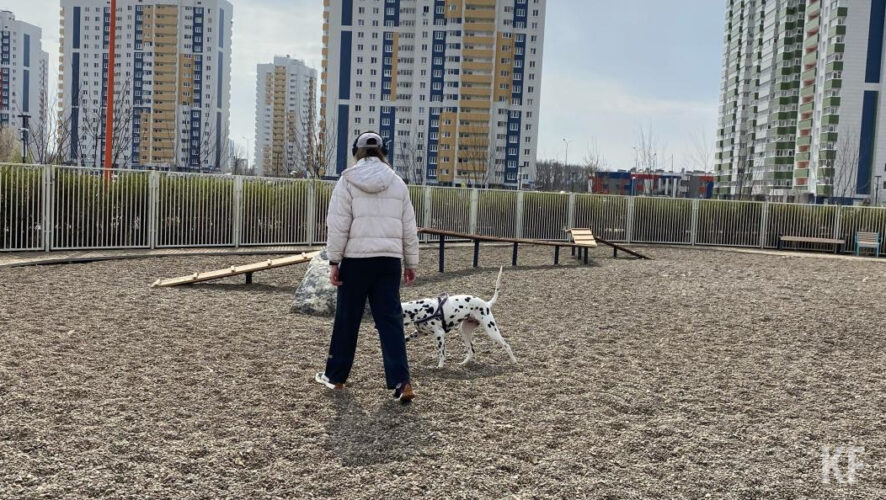 Голосование продлится до 31 мая.