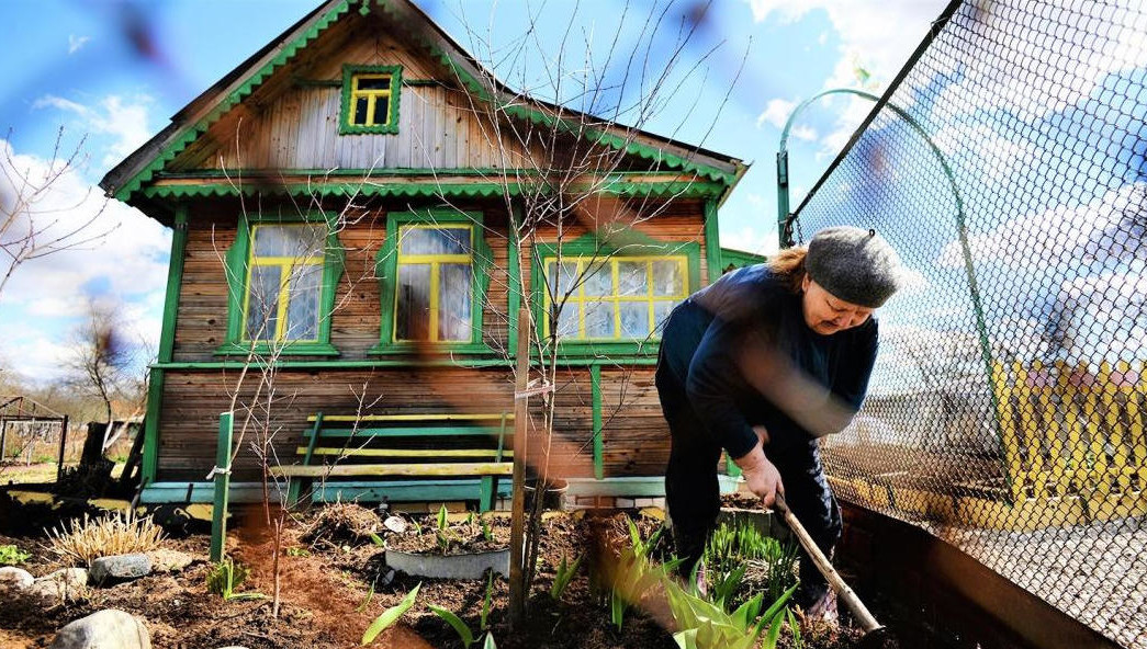 Бюджетные деньги в помощь СНТ пойдут после отбора