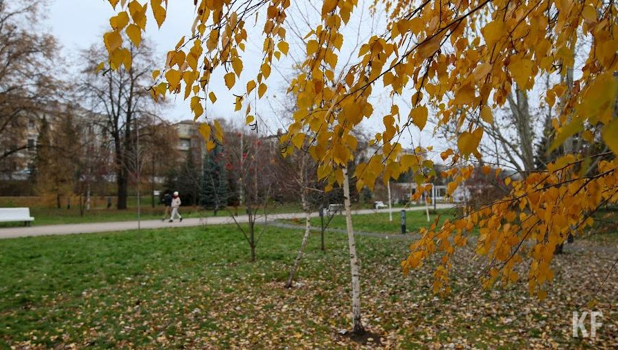 Исполнитель работ должен привлечь 50 человек.