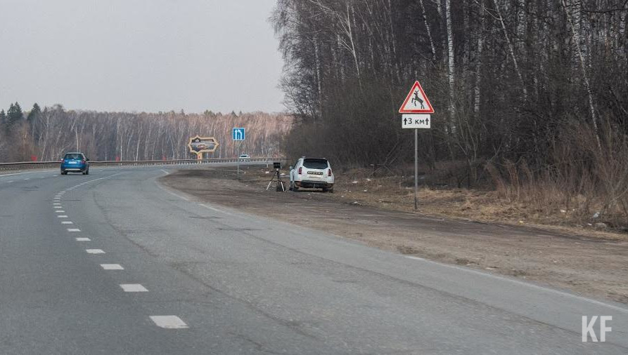 Детеныш скончался через пару часов после наезда.