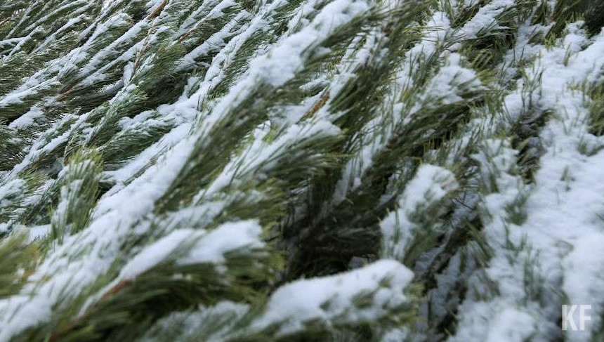 Под торговлю символами Нового года отдадут девять мест.