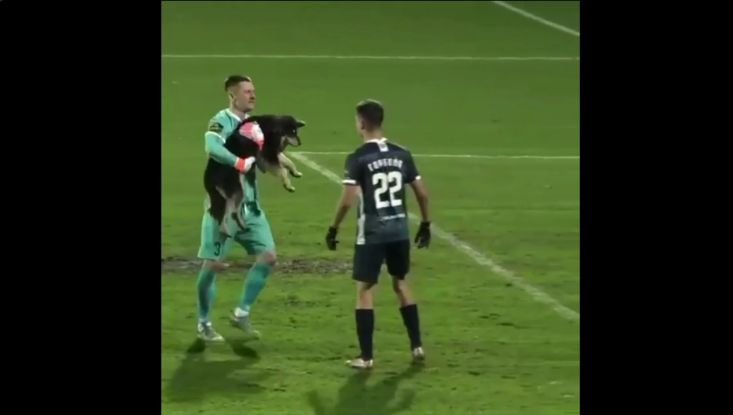 Зрители на стадионе отметили аплодисментами поступок Артура Анисимова.