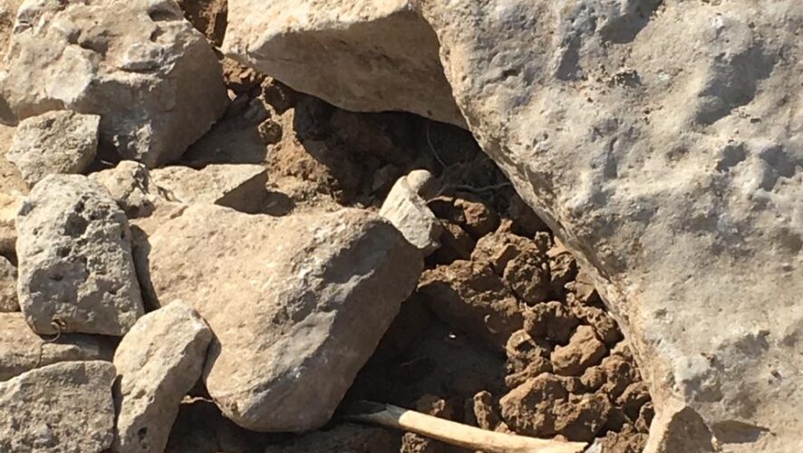 обнаружены человеческие останки. Пока туристы фотографируются на их фоне