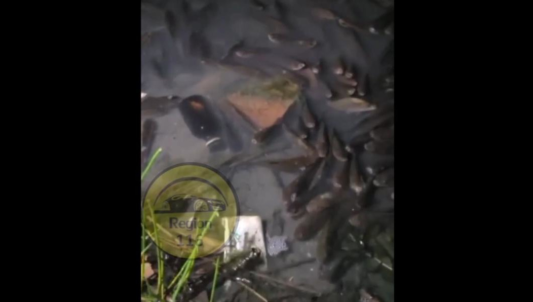 Вода была мутной