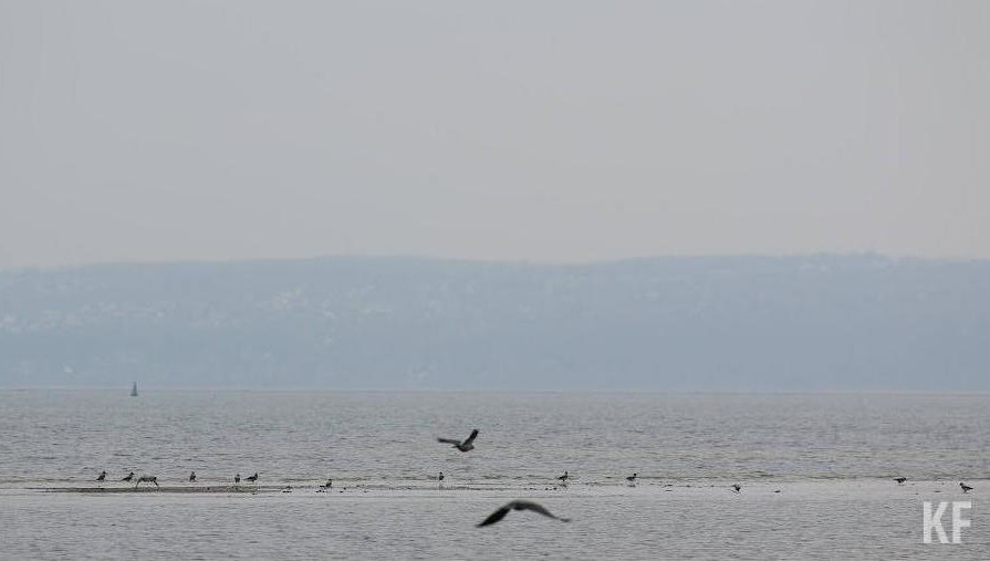Россияне смогут недорого отдохнуть в Абхазии.