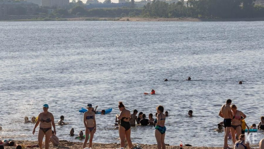 Всего их восемь.