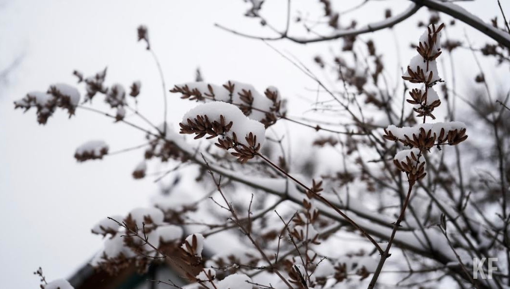 Также по республике пройдется сильный ветер порывами до 15-18 метров в секунду.