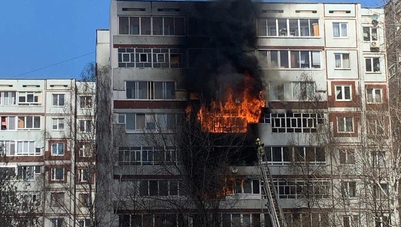 Мертвое животное обнаружил ребенок Светланы Паньковой.