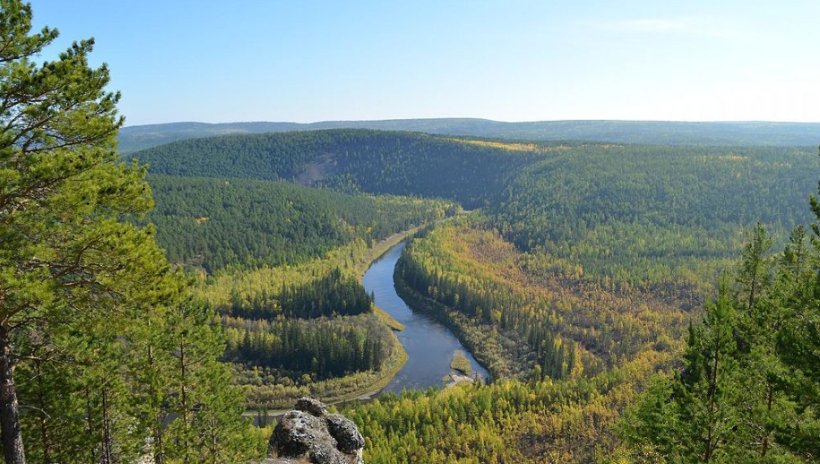 В рамках межрегионального форума пройдут круглые столы и практикумы.