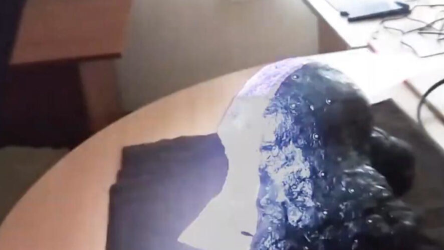 Останки нашли на территории России в единственном экземпляре.