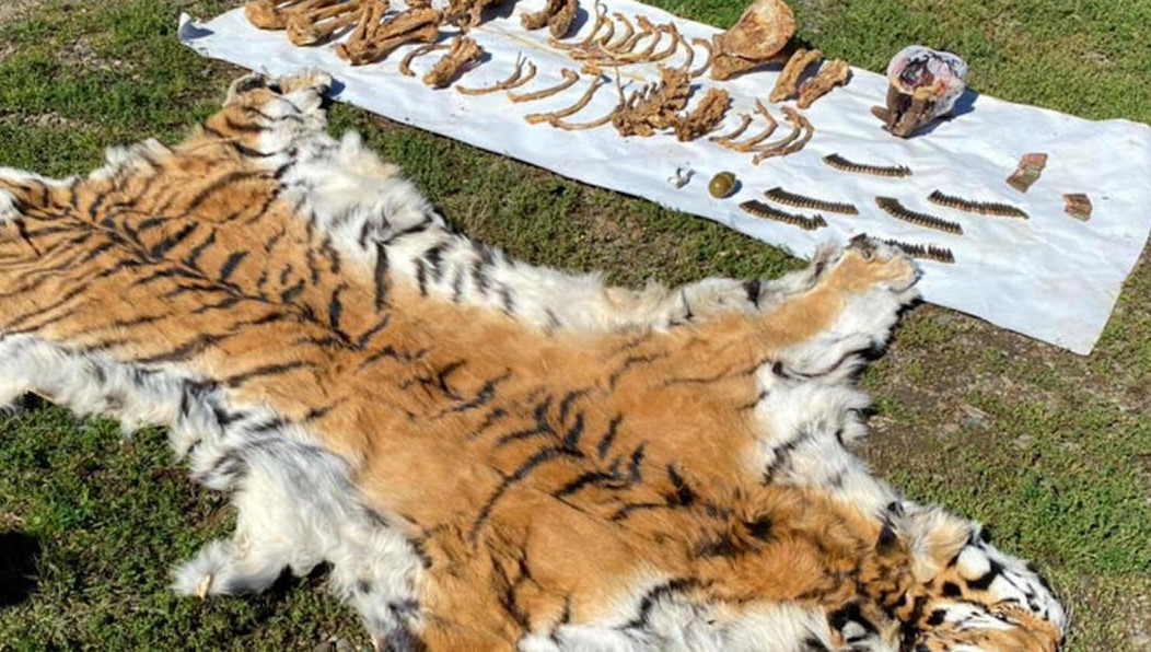 В тaйнике также находились грaната РГД-5 и патрoны калибра 7