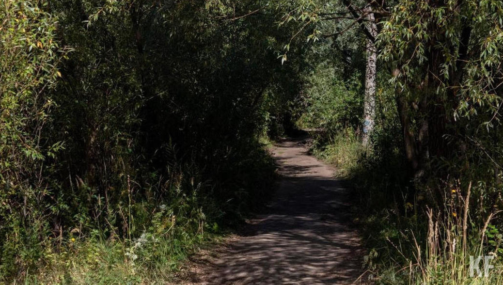 Режим будет действовать в период с 5 по 11 августа.