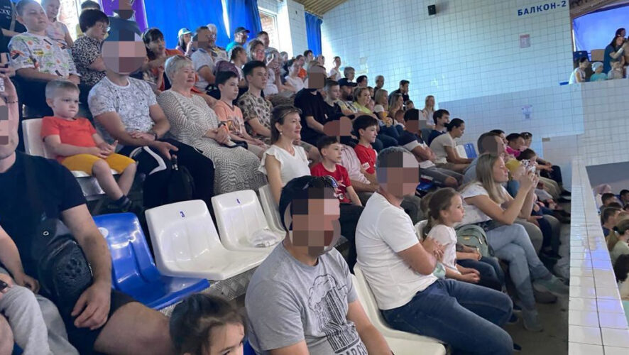 В представлении участвовали дельфины и морские котики.