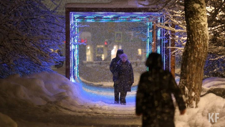 За последние 10 лет высажено более 50 млн цветов – в среднем