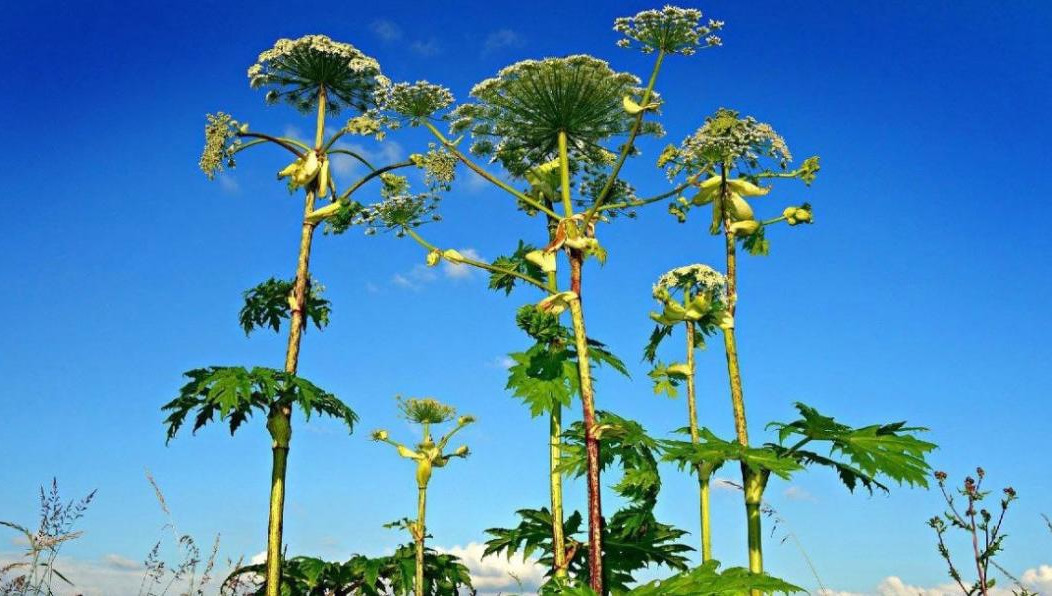 Сумма штрафа должна быть такой