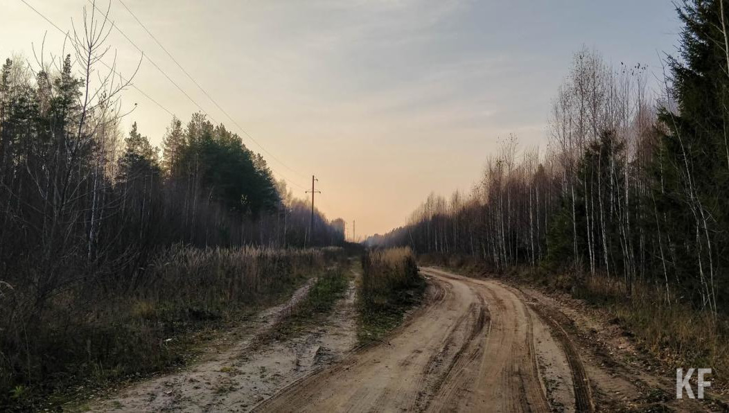 Она закопала труп в земле